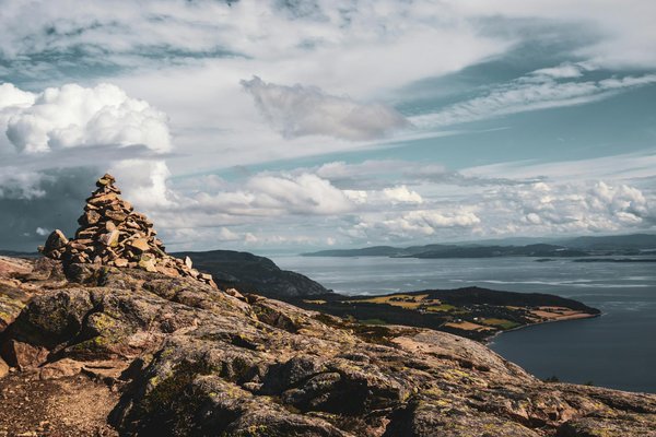 Explore the UK's Top Coastal Trails for Unforgettable Seal and Seabird Sightings