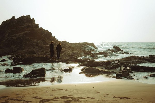 Exploring somerset's top cider treasures: the ultimate guide to the region's best tastes